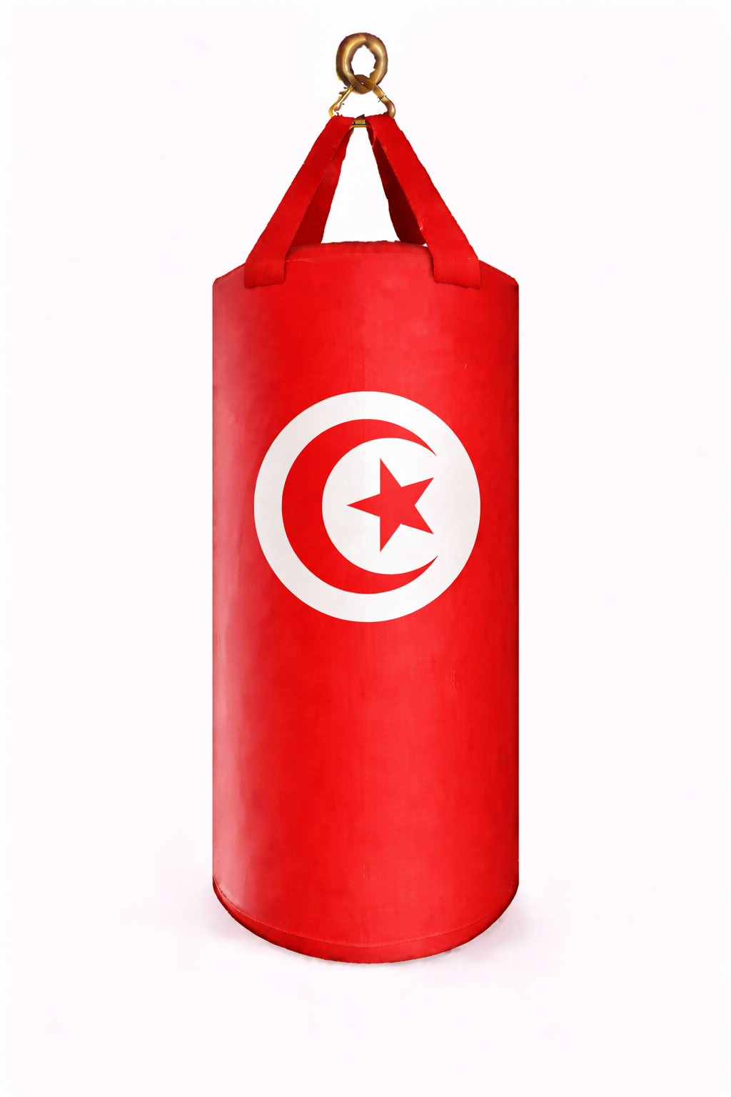 PROUSA World Flag Heavy Bag Series