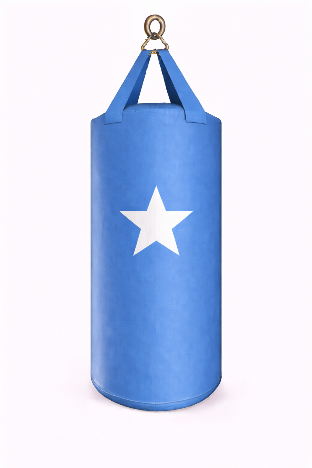 PROUSA World Flag Heavy Bag Series