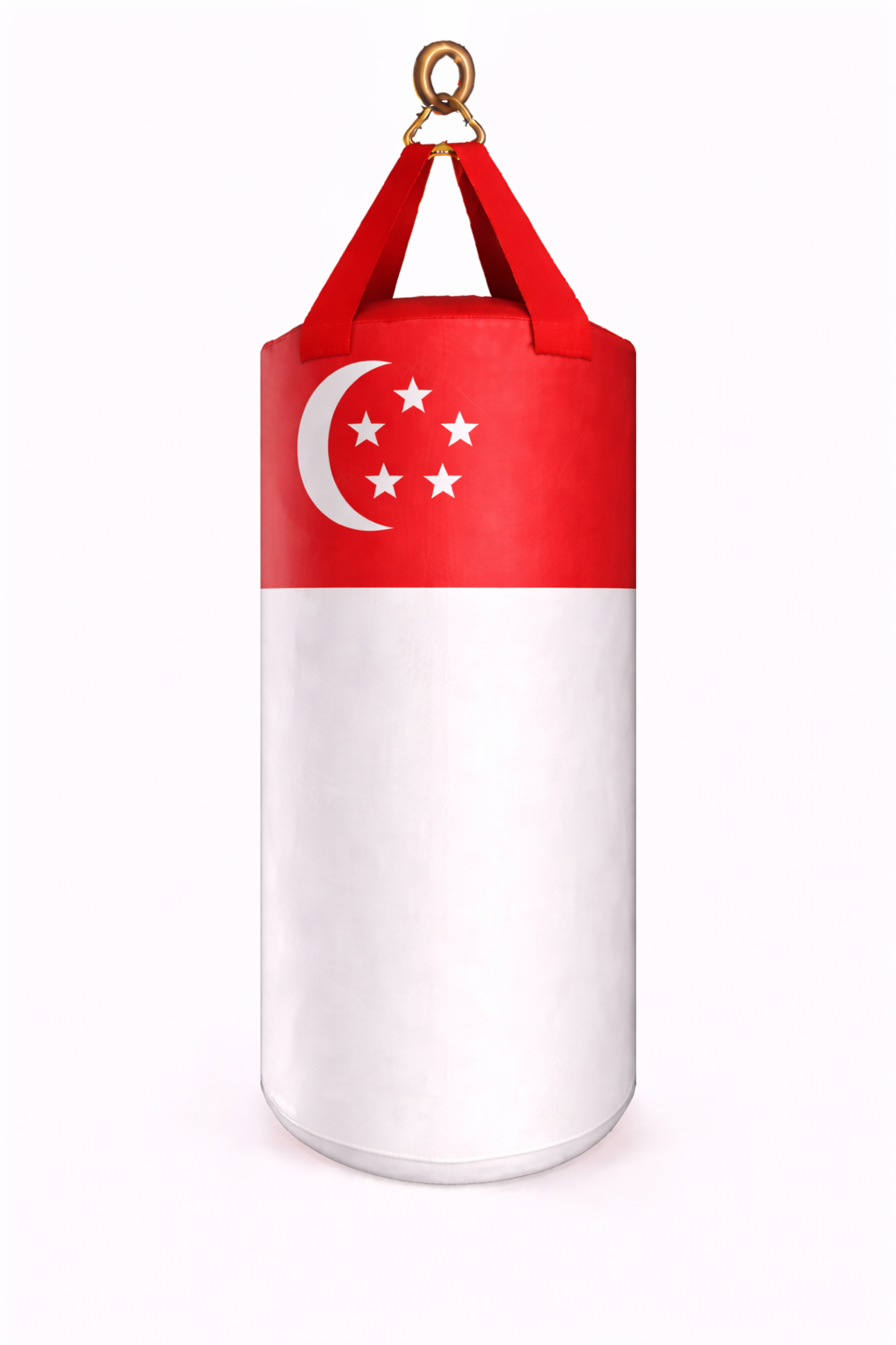 PROUSA World Flag Heavy Bag Series