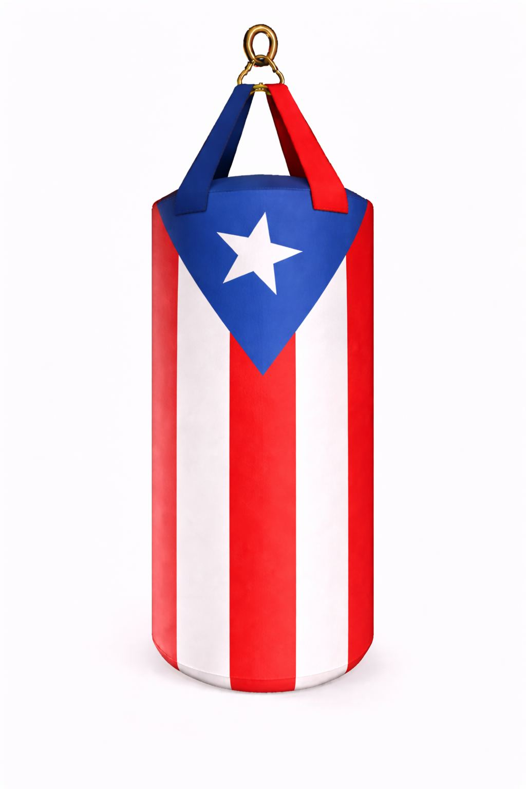 PROUSA World Flag Heavy Bag Series
