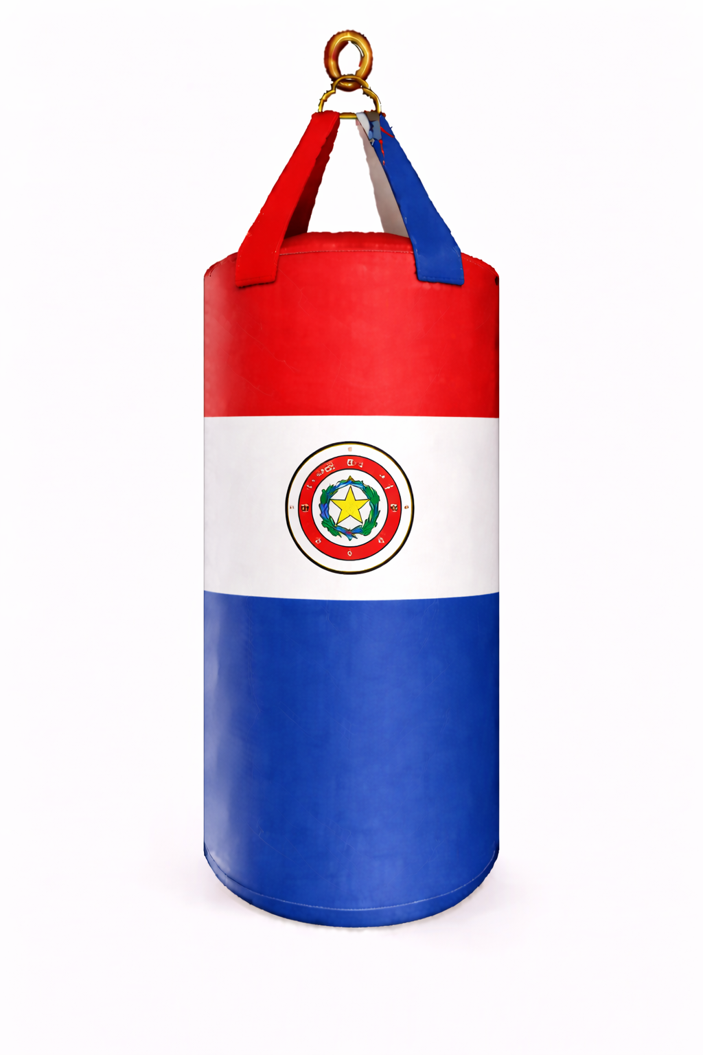 PROUSA World Flag Heavy Bag Series