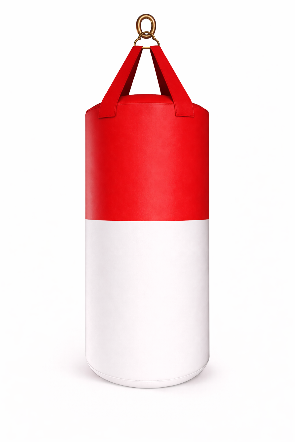 PROUSA World Flag Heavy Bag Series