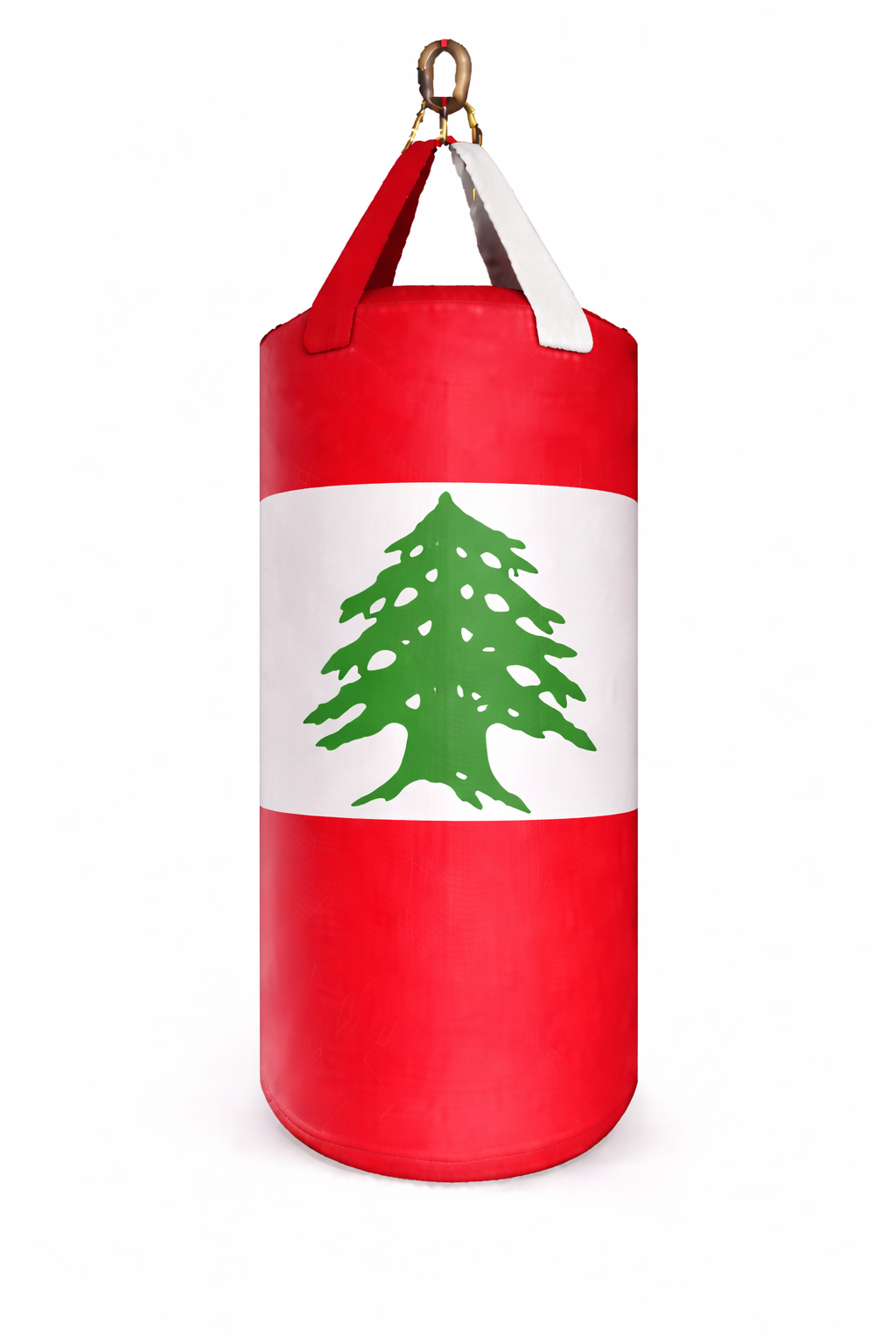 PROUSA World Flag Heavy Bag Series