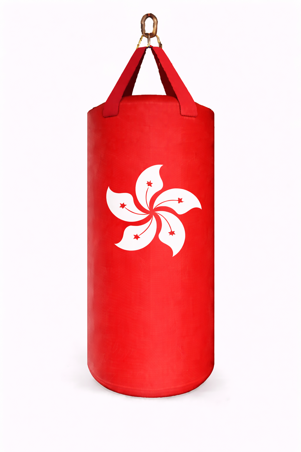PROUSA World Flag Heavy Bag Series