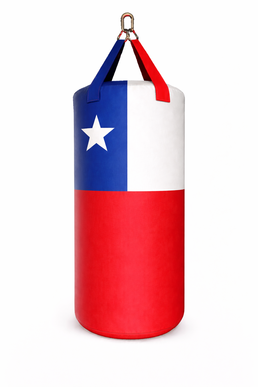 PROUSA World Flag Heavy Bag Series